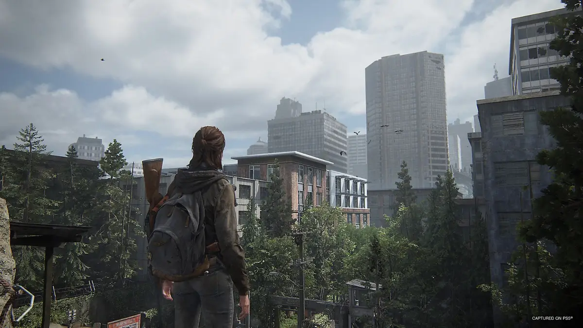 The Last of Us 2 Remastered