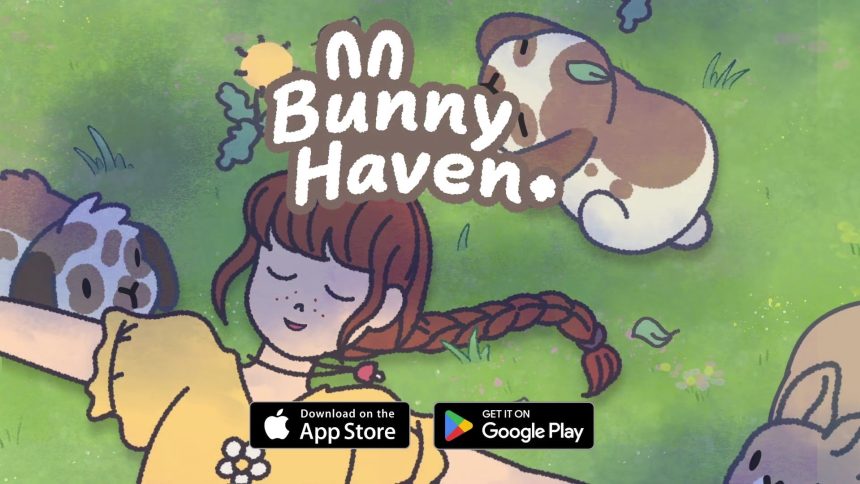 Build Your "Bunny Haven": Fun and Ethical Pet Care!