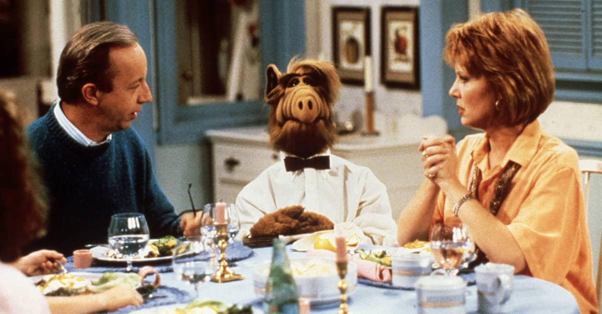 ALF Cast Members Are Not Happy For Being The Part Of The Show, But Fans Always Loved ALF