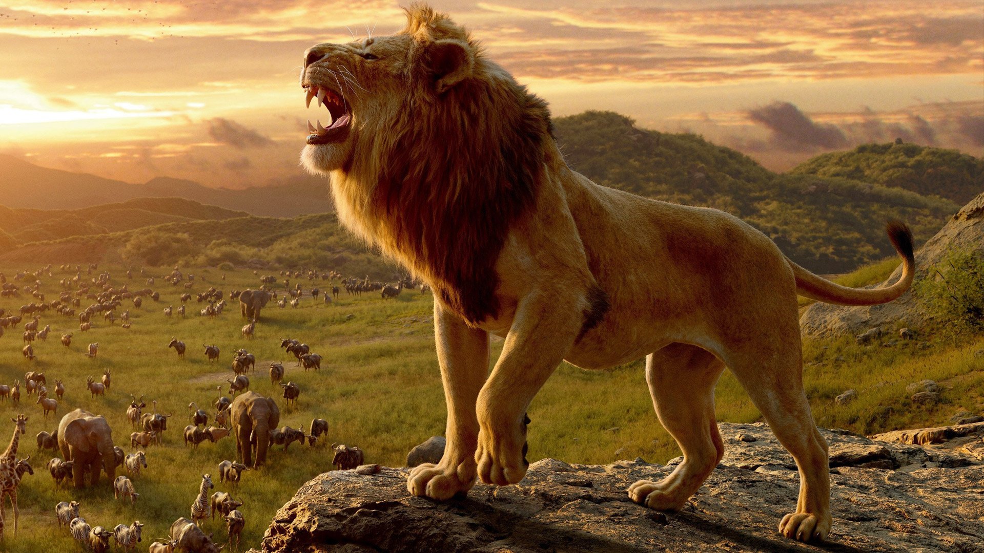 mufasa: the lion king