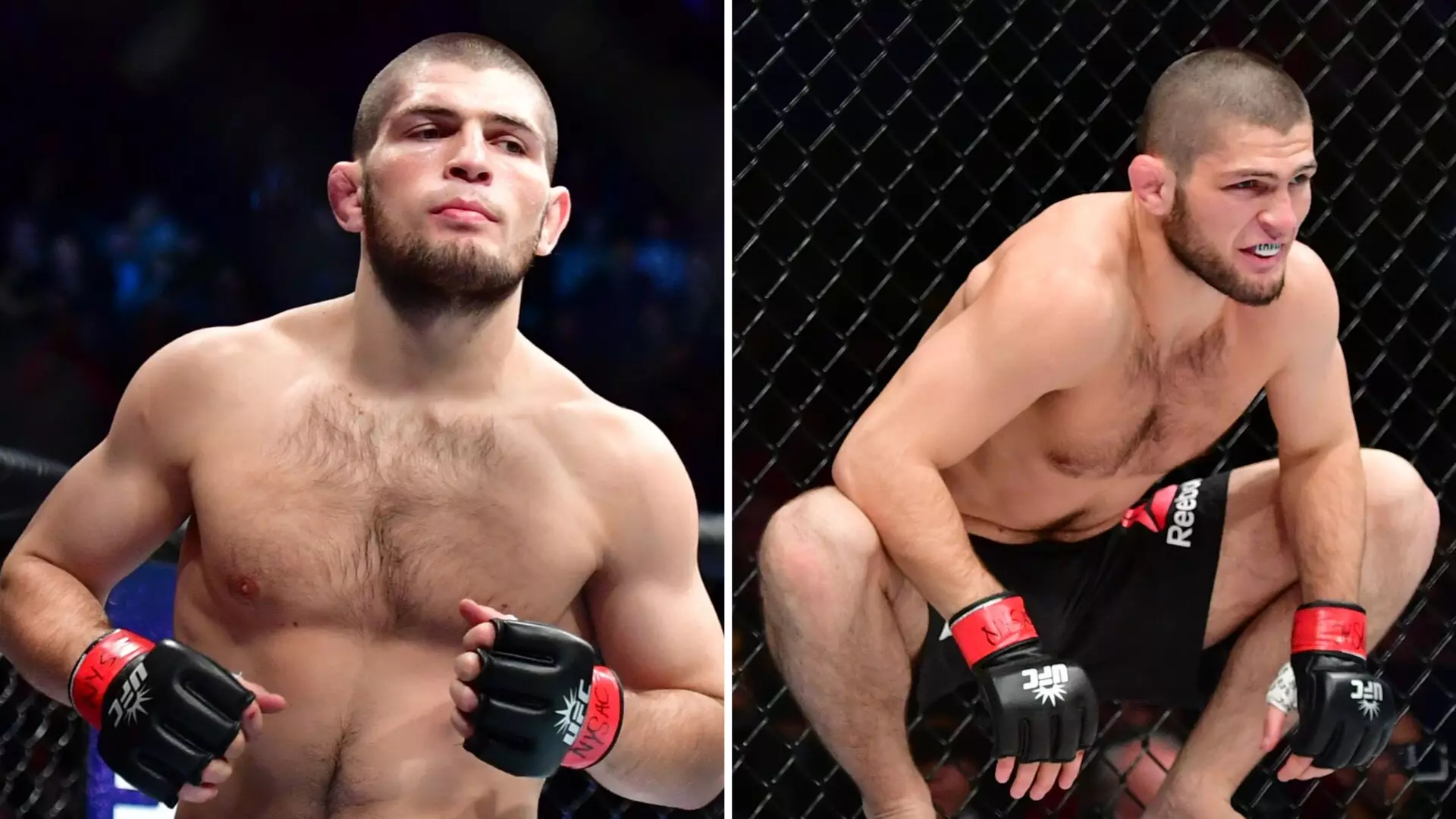 Khabib Nurmagomedov's Team Responds to Tax Fraud Allegations by Russian Authorities, Labels Information "Inaccurate"